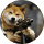 User Account